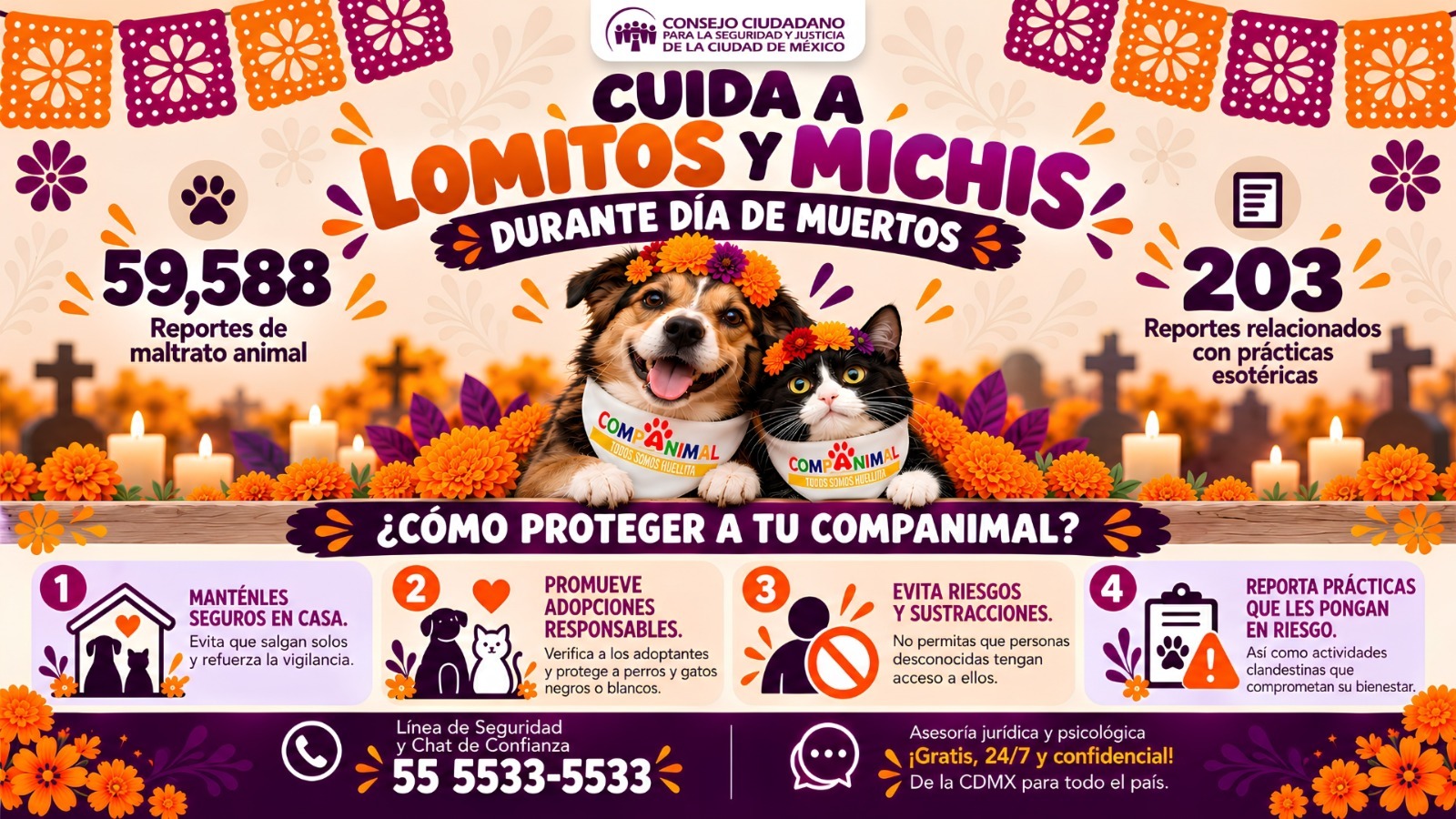 LLAMA CONSEJO CIUDADANO A PROTEGER A LOS SERES SINTIENTES DE PRÁCTICAS RITUALES DURANTE DÍA DE MUERTOS